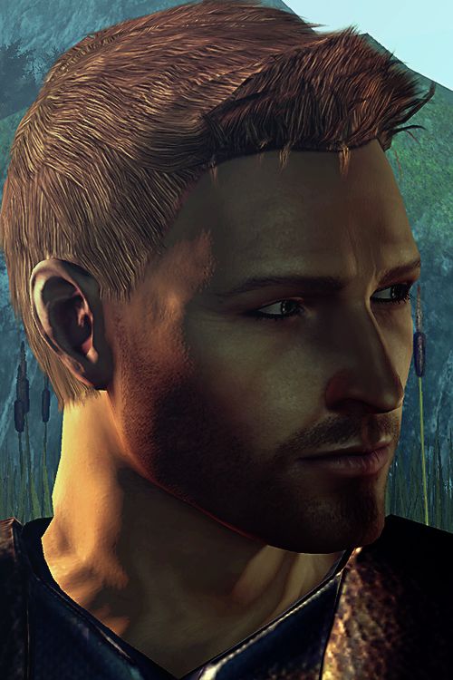 Dragon Age Alistair Approval